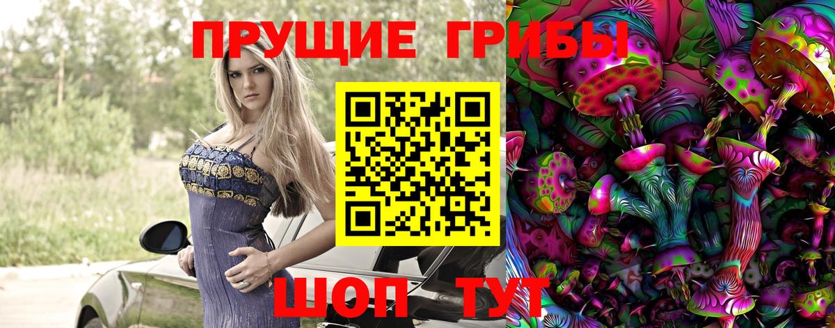 Аргун  Галлюциногенные грибы Psilocybine cubensis  Вход с VPN 