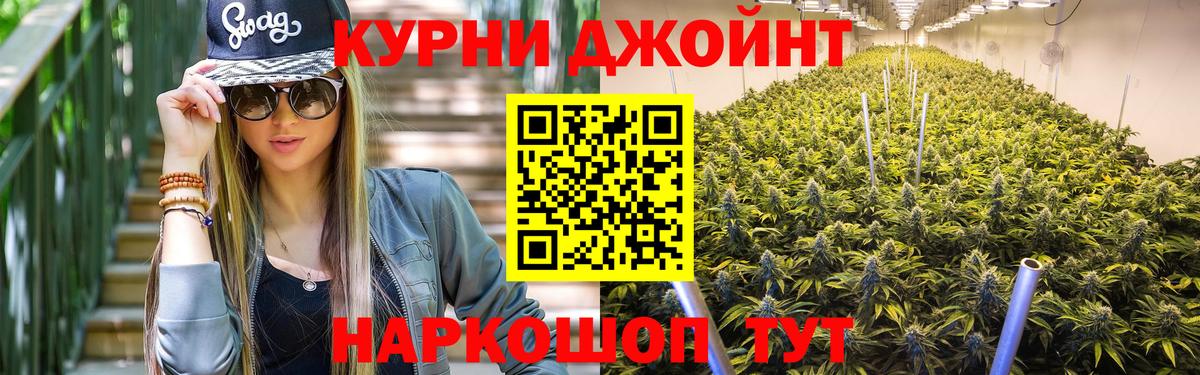Каннабис гибрид Аргун